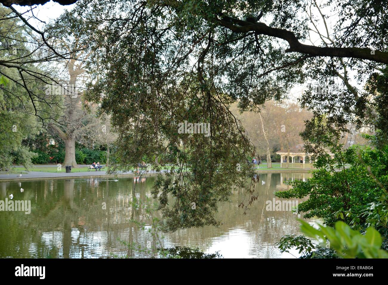 Pond in Dublin's St Stephen's Green Stock Photo Alamy
