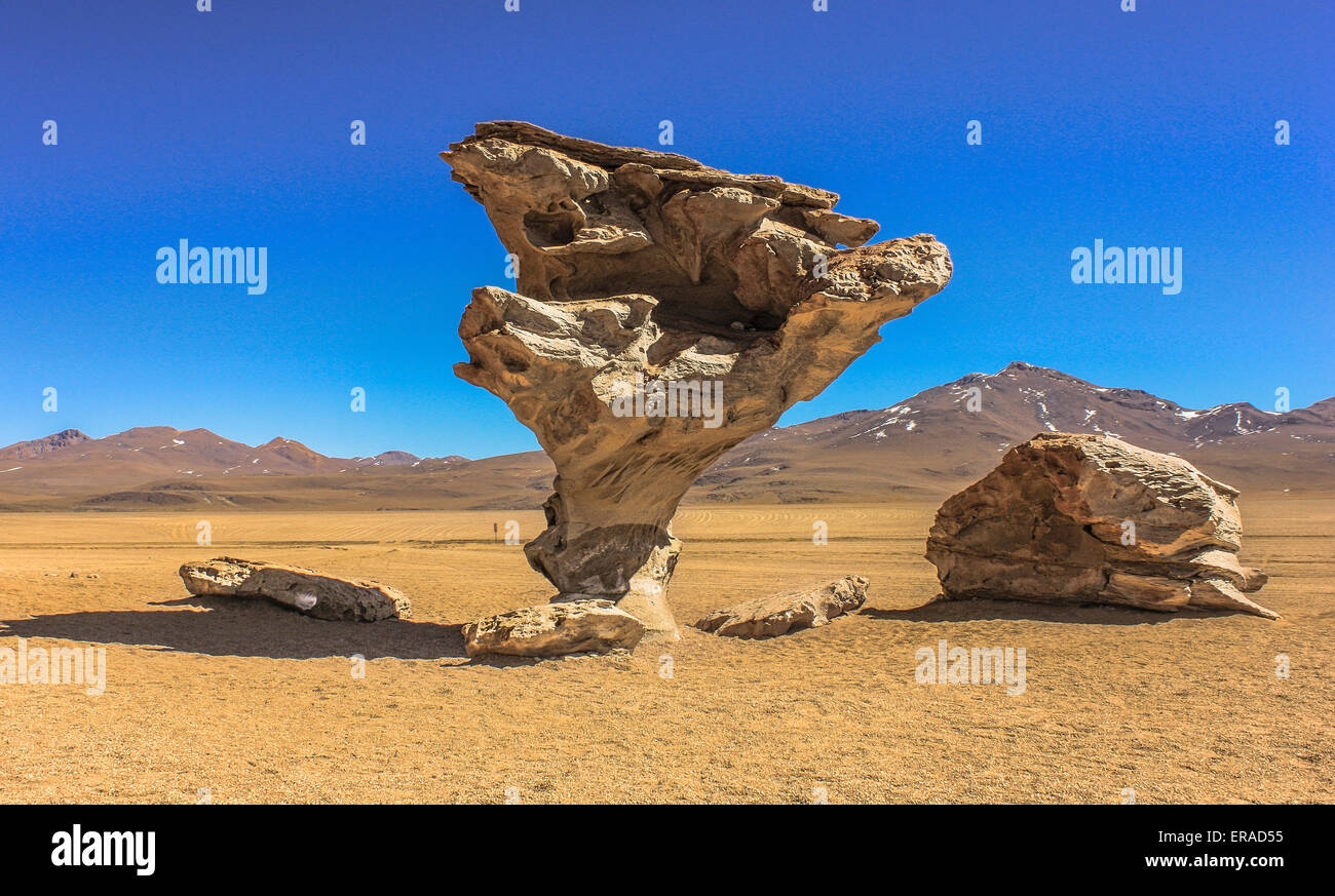 Arbol de piedra rocky landscape hi-res stock photography and images - Alamy