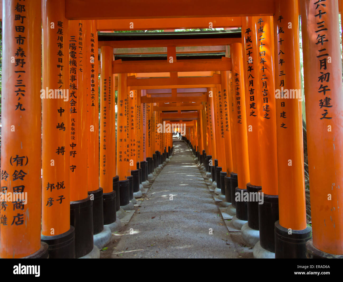 Torii gates in Fushimi Inari Shrine, Kyoto, Japan Stock Photo