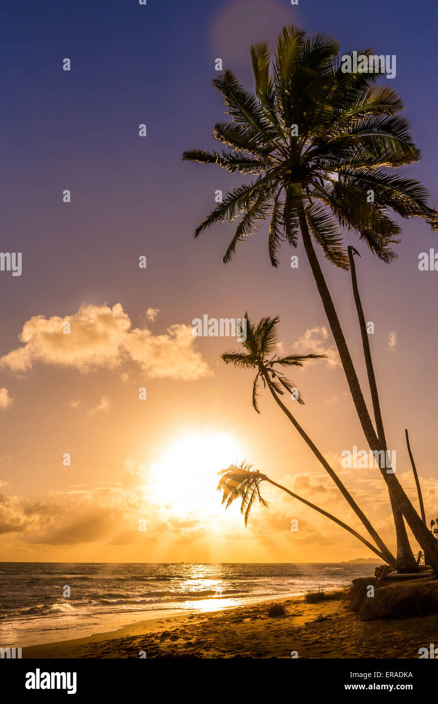 Beautiful sunrise over Caribbean sea in Dominican Republic Stock Photo