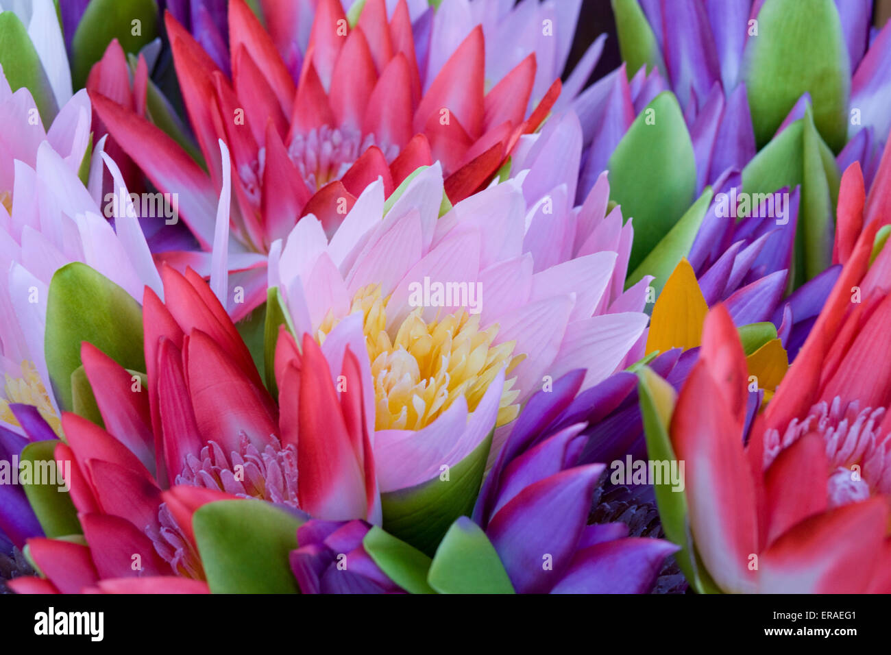 Fake flowers for sale hires stock photography and images Alamy