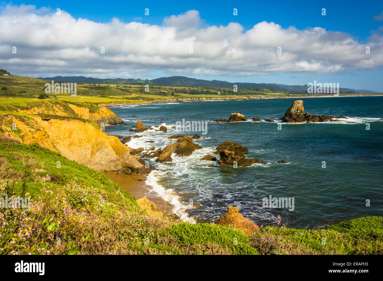 View of the Pacific Coast in Pescadero, California. Stock Photo