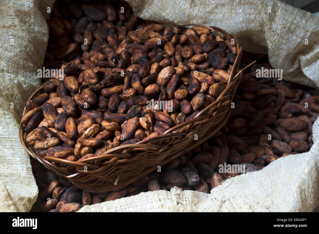 Kakao Bohnen und Früchte Stock Photo