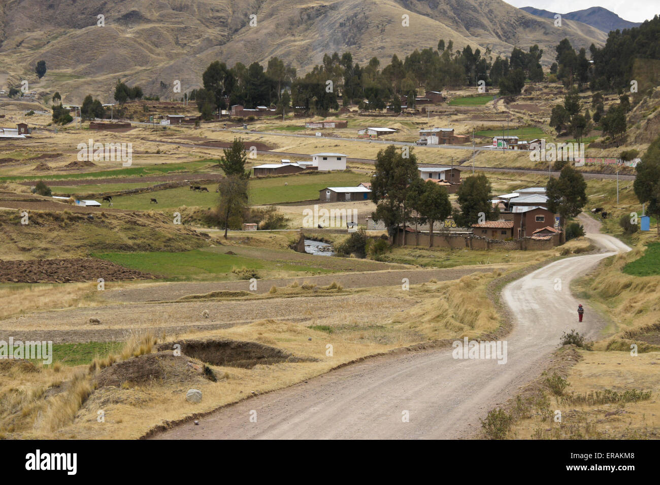 Rural village on the altiplano between Cuzco and Puno, Peru Stock Photo