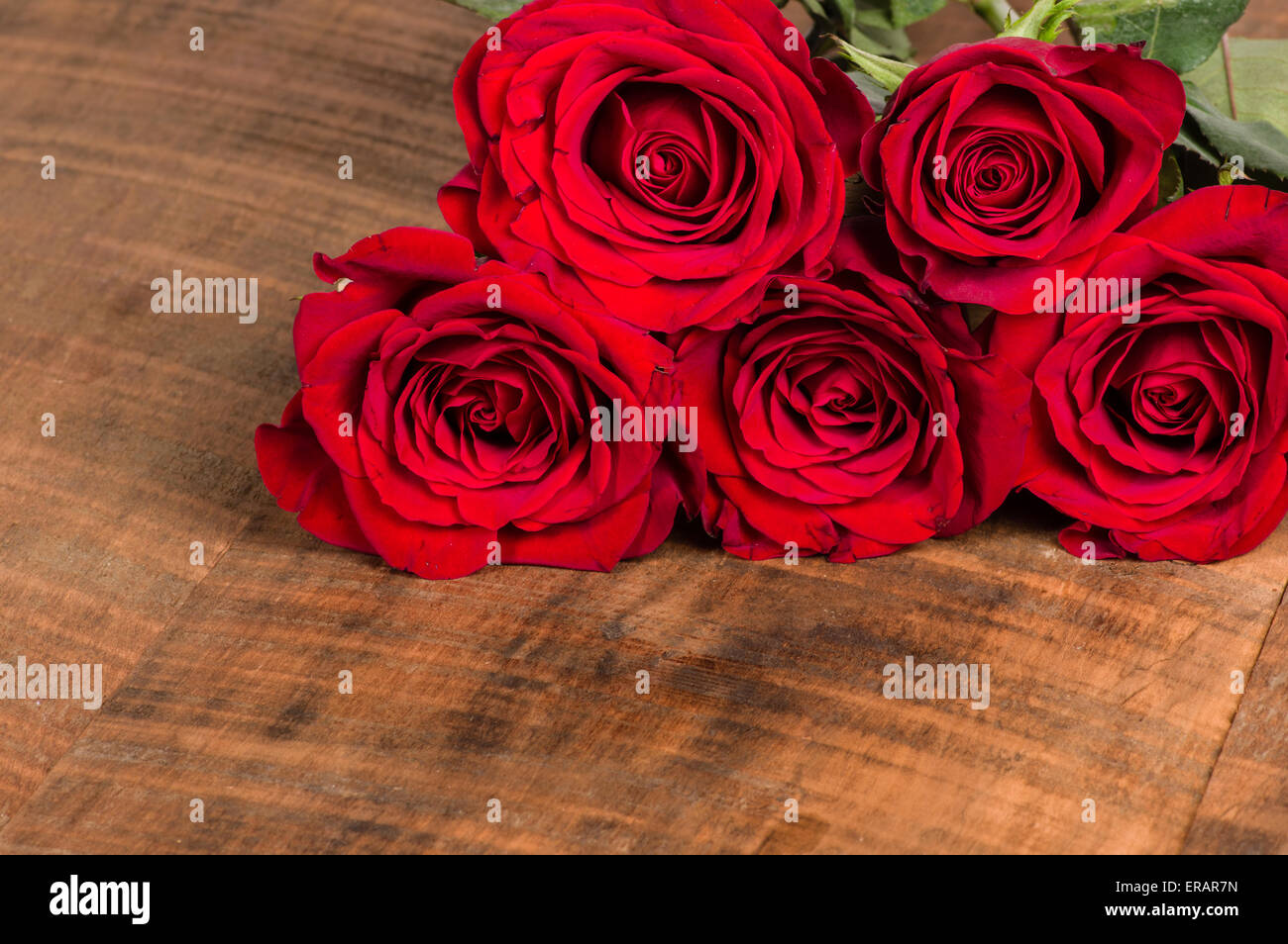 Group of roses in corner with room for text Stock Photo - Alamy