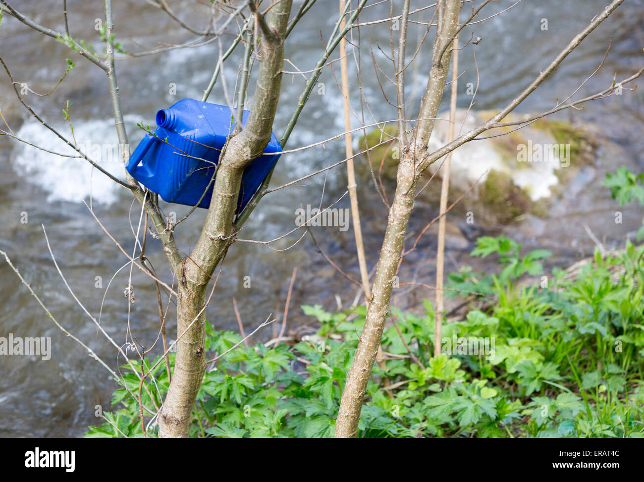Plastic bottle trash is thrown in the branches of a tree near a river