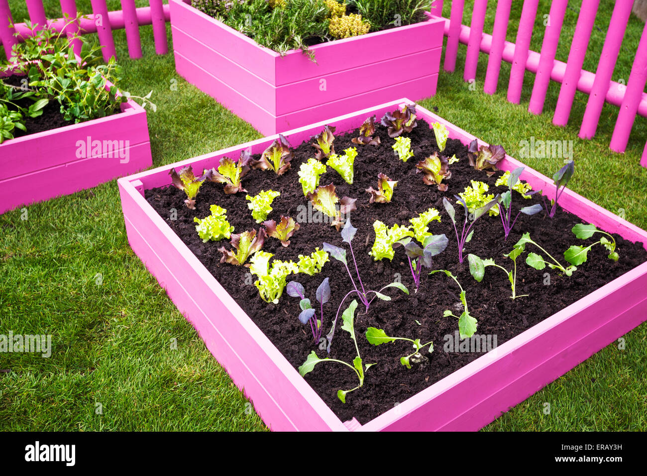 Beautiful raised bed hi-res stock photography and images - Alamy