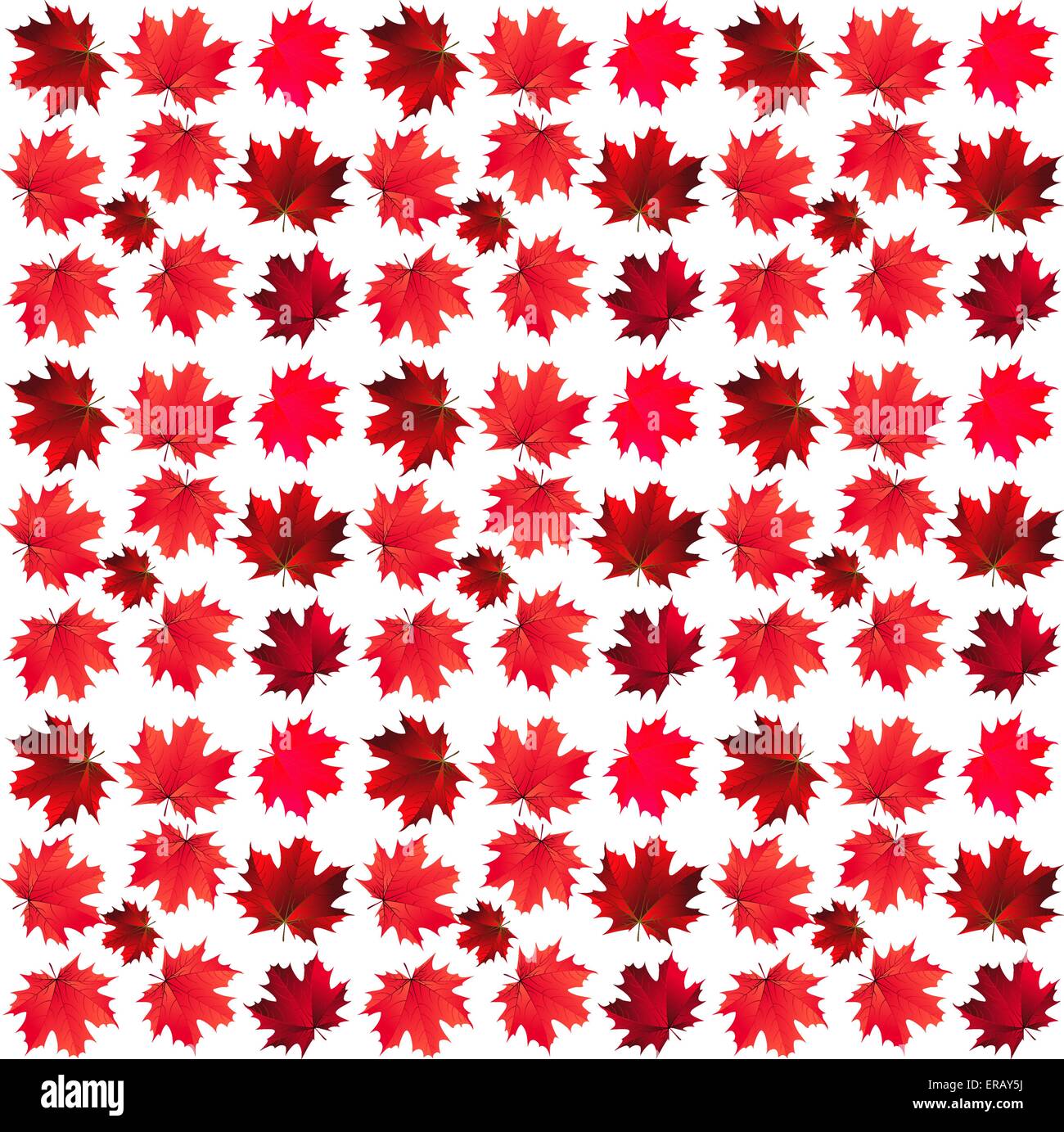 pattern of red maple leaves Stock Vector