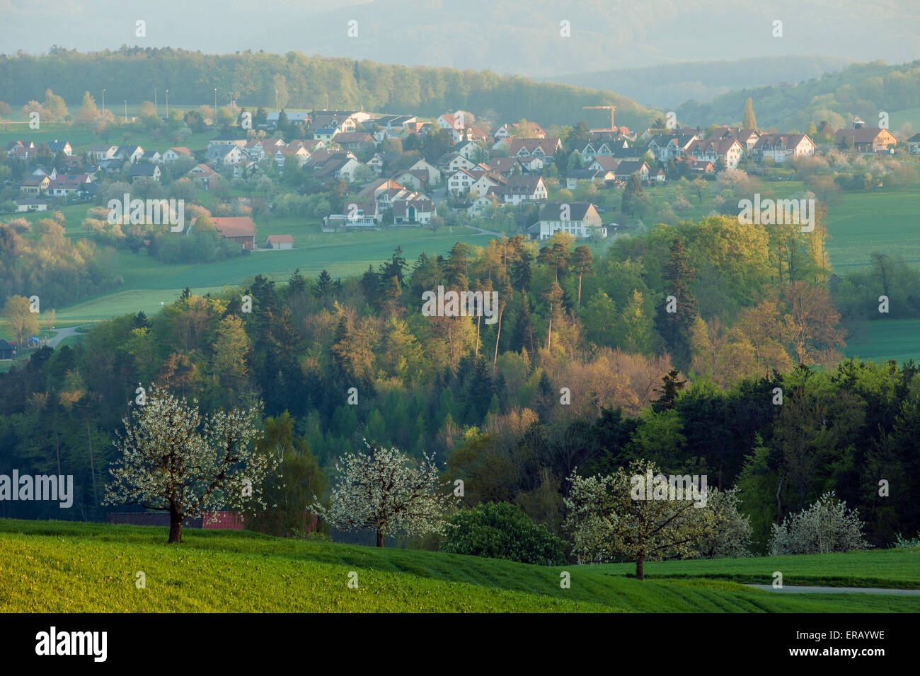 Canton Of Baselland High Resolution Stock Photography and Images - Alamy