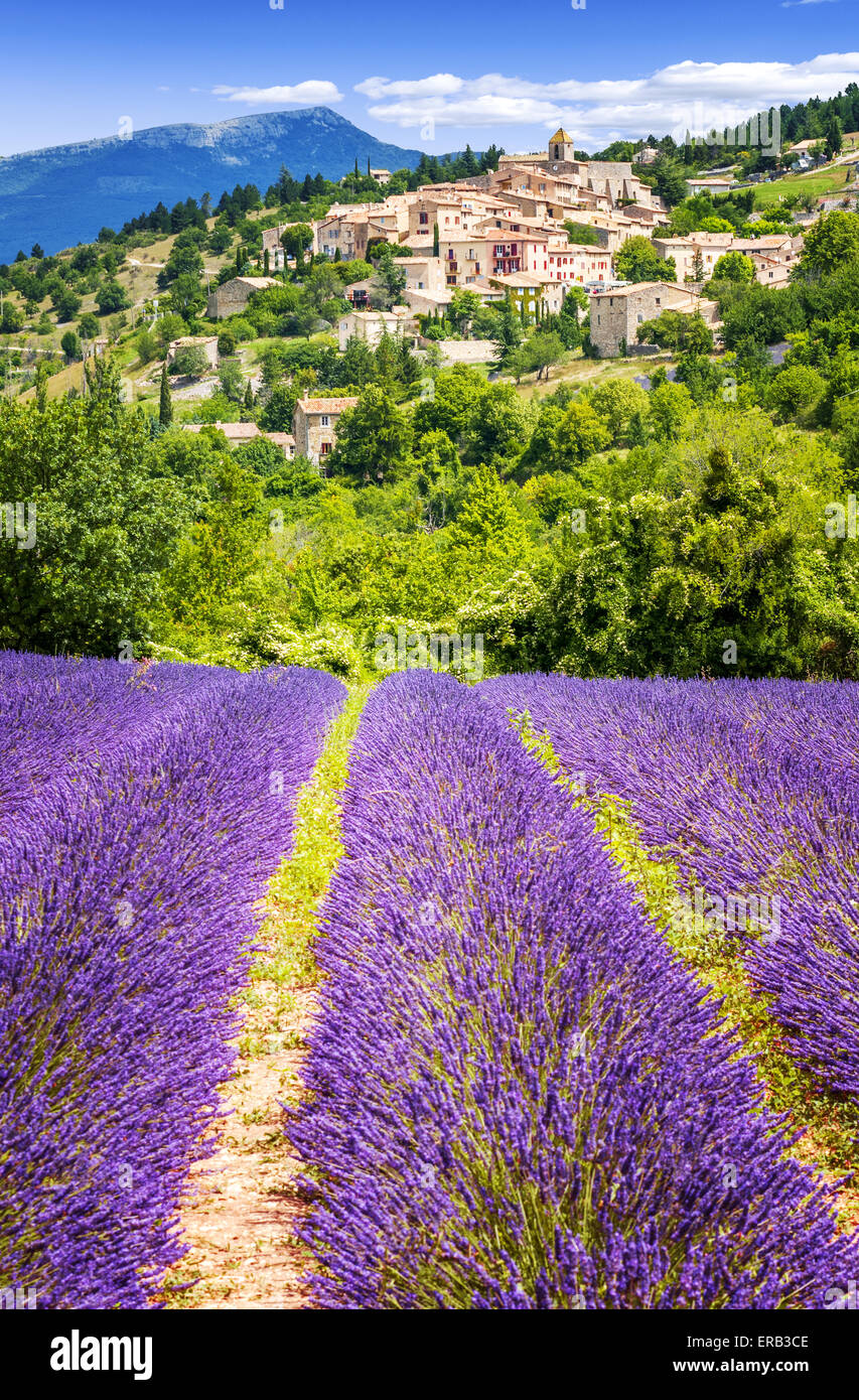 Aurel little village  in south of france with a lavender field in front of it Stock Photo