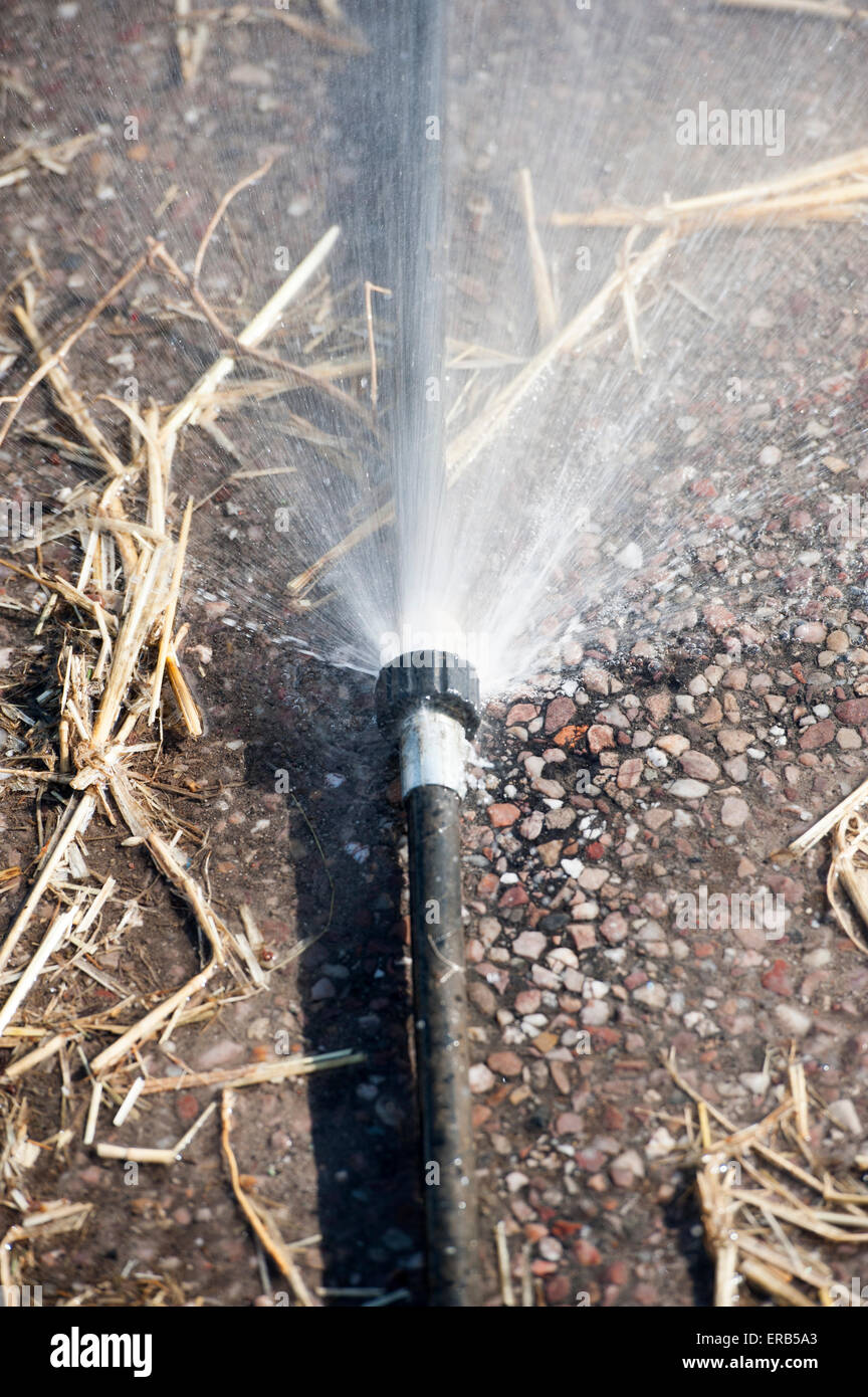 6 Basic Steps to Stop a Burst Pipe from Getting Out of Control