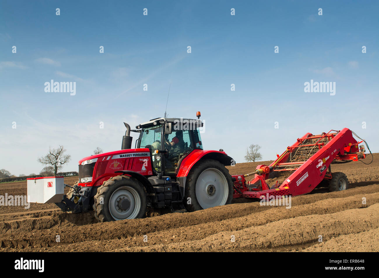 Preparing Potato Seed Bed Using Grimme Stone Removing Machine Pulled By A Massey Ferguson 76 Yorkshire Uk Stock Photo Alamy Preparing Potato Seed Bed Using Grimme Stone Removing Machine Pulled By A Massey Ferguson 76 Yorkshire Uk Stock Photo Alamy