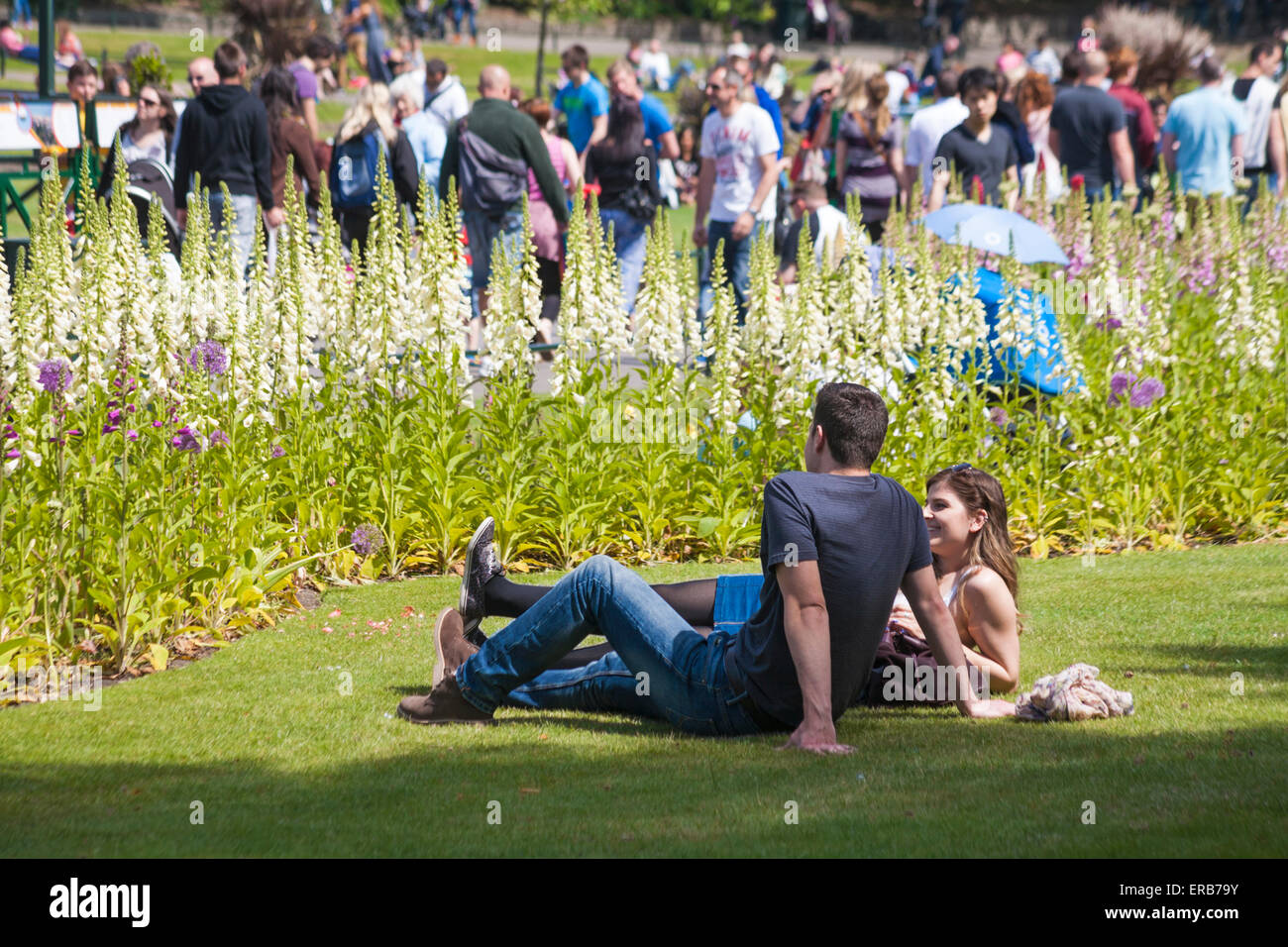 Couple enjoying each others company in Bournemouth gardens by the foxgloves oblivious to the crowds of people passing by in May Stock Photo