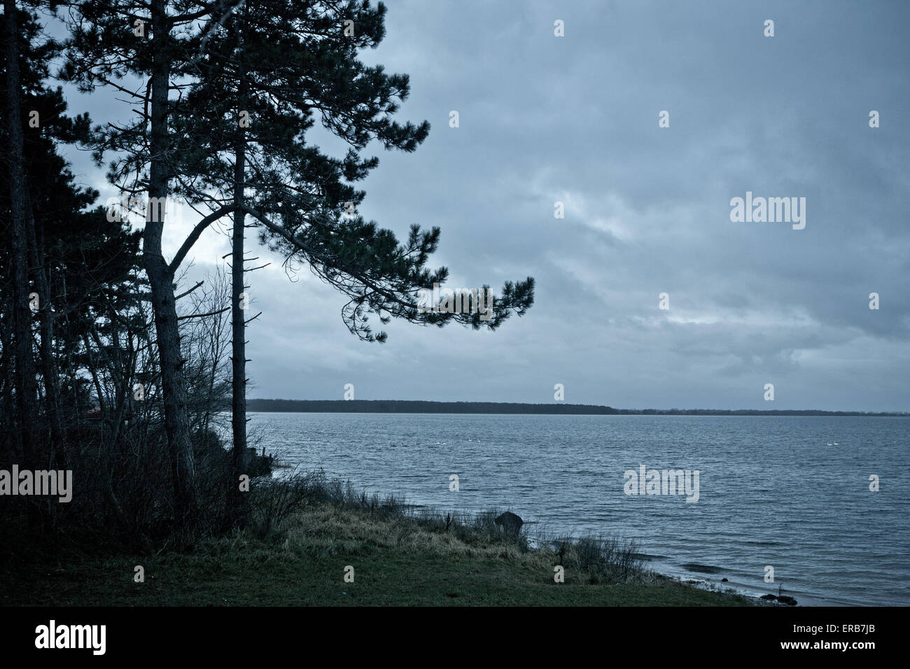 Landscape with trees and lake Stock Photo - Alamy