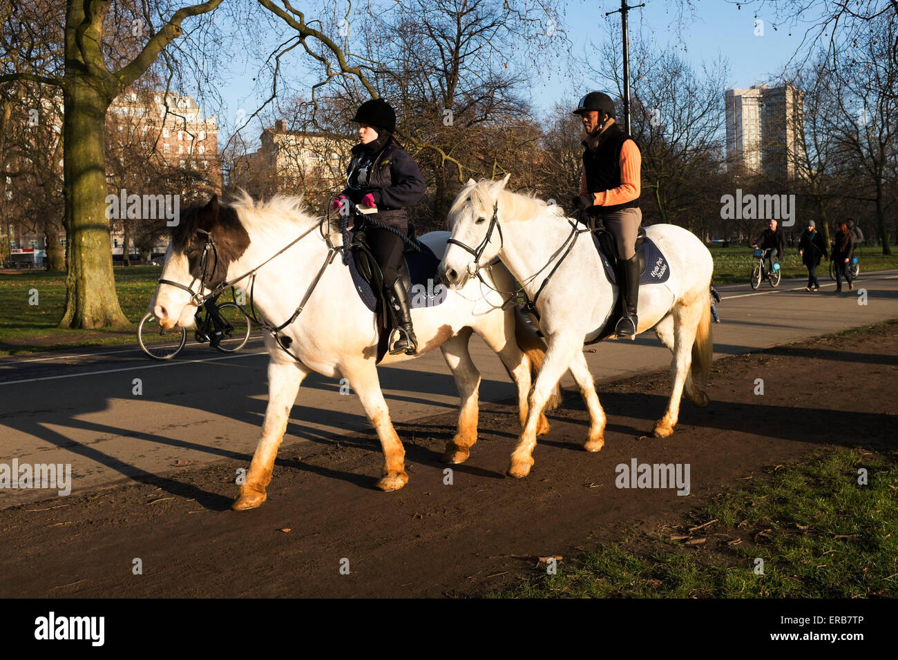 Two people horse riding in Hyde Park in central London, UK. Following the path called Dorchester Ride, which is parallel to Park Stock Photo