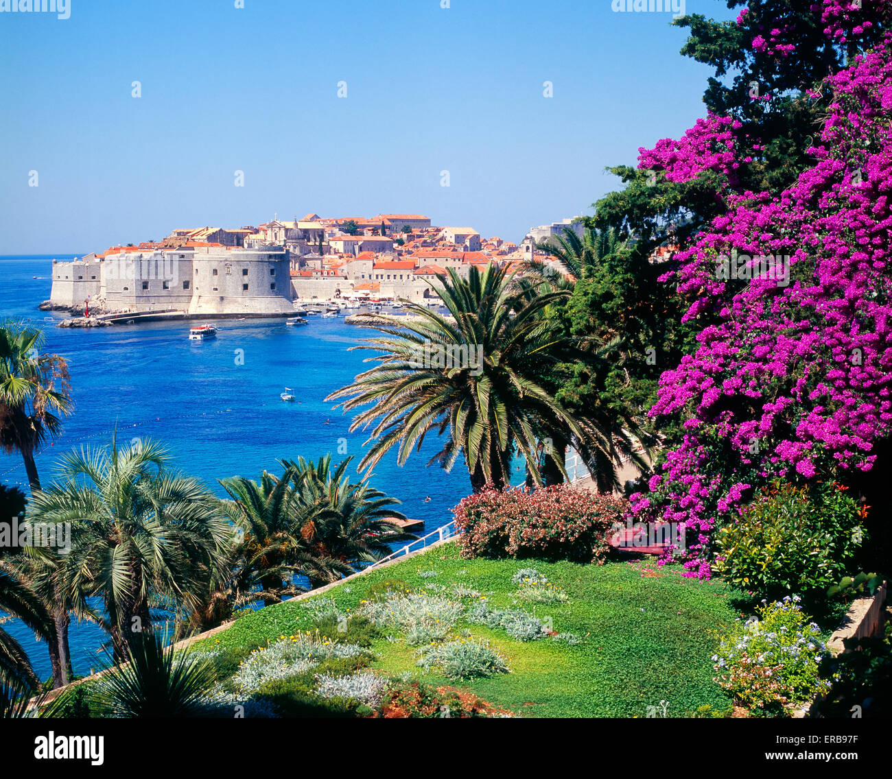 Dubrovnik old town with flowers, Croatia Stock Photo
