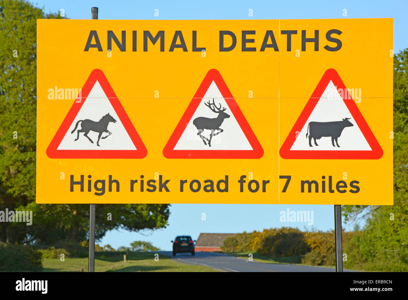 Road sign warning motorists about serious risk of accidents involving free roaming New Forest ponies & other animals New Forest Hampshire England UK Stock Photo