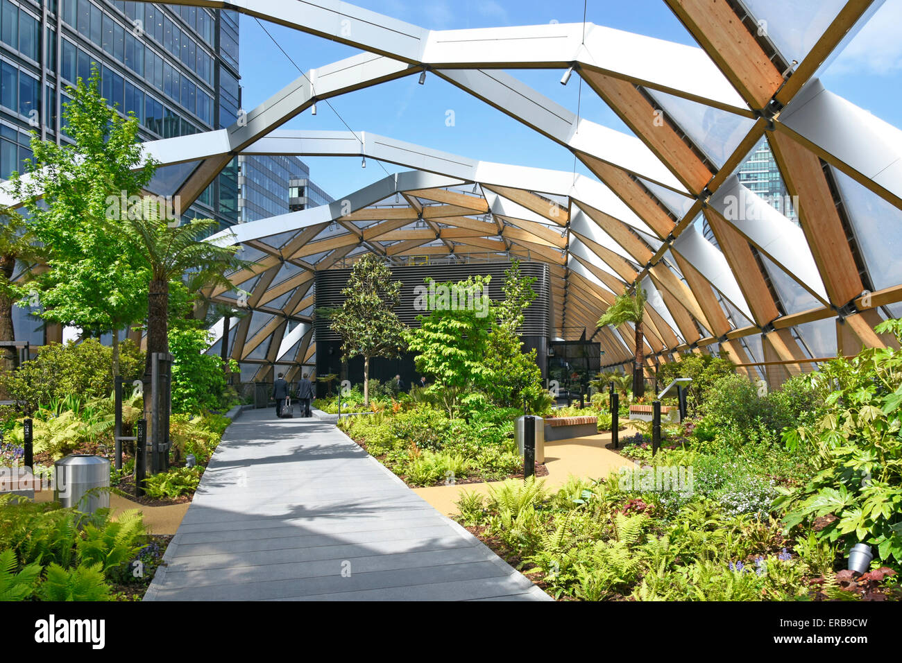 Plants grow Crossrail Place roof garden above Crossrail train station with ETFE roof panels & glulam spruce timber beams Canary Wharf East London UK Stock Photo