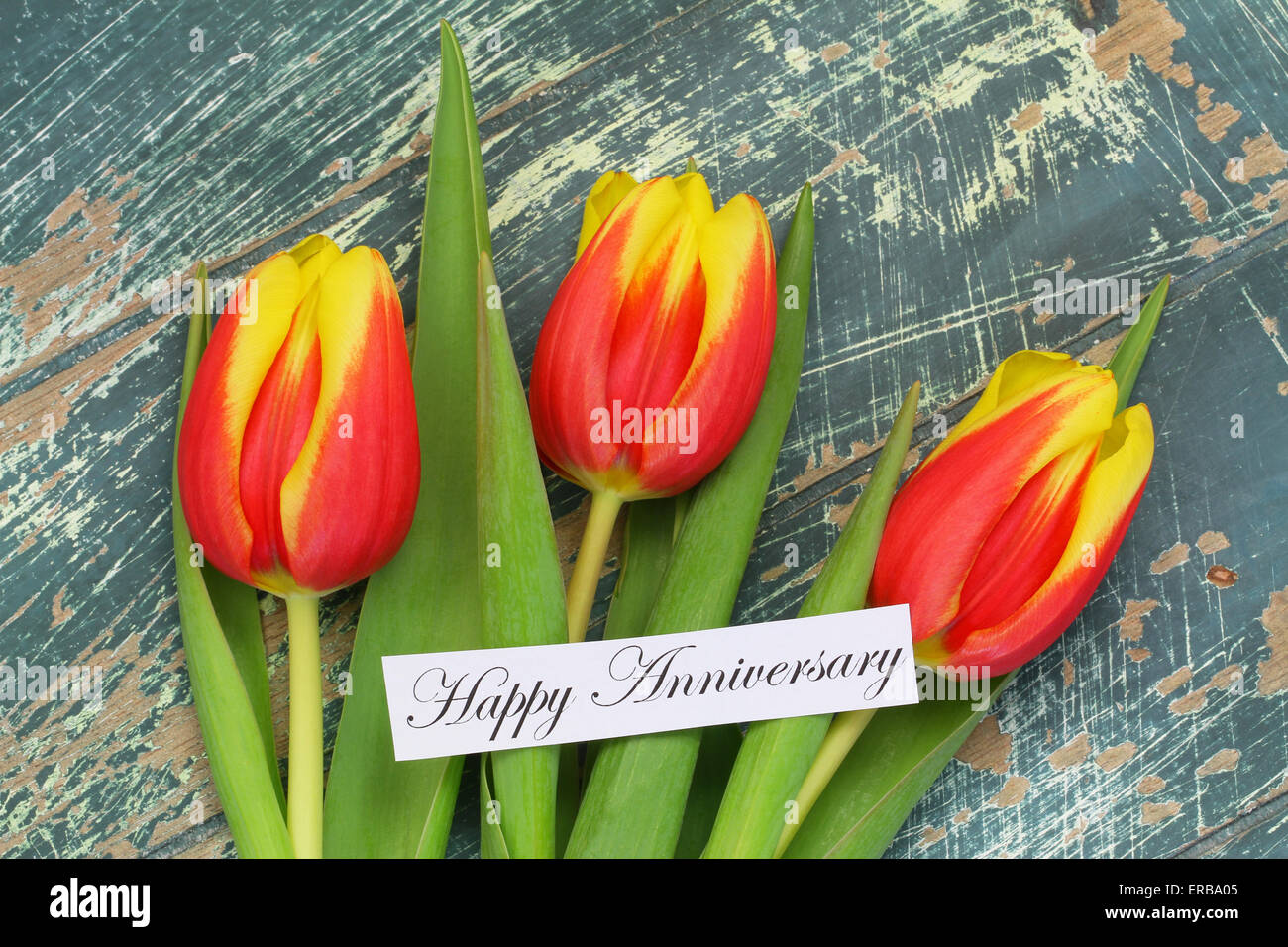 Happy Anniversary card with red and yellow tulips Stock Photo - Alamy