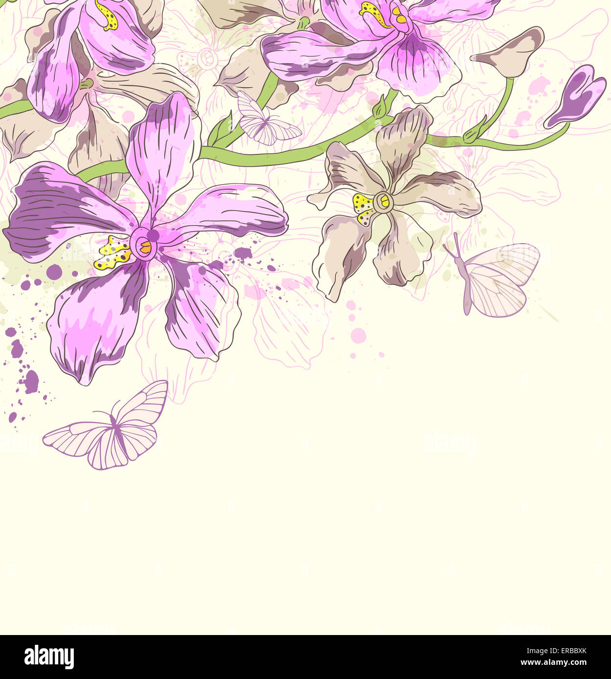 Decorative background with orchids and butterflies Stock Photo