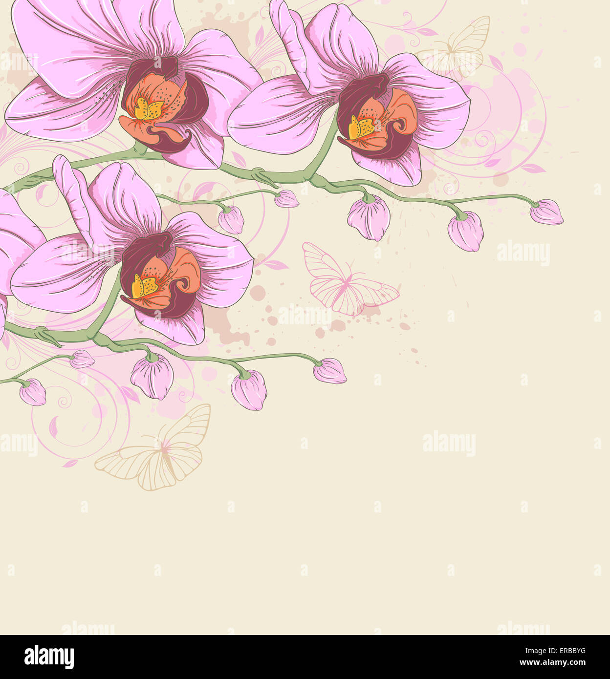 Decorative background with pink orchids and butterflies Stock Photo