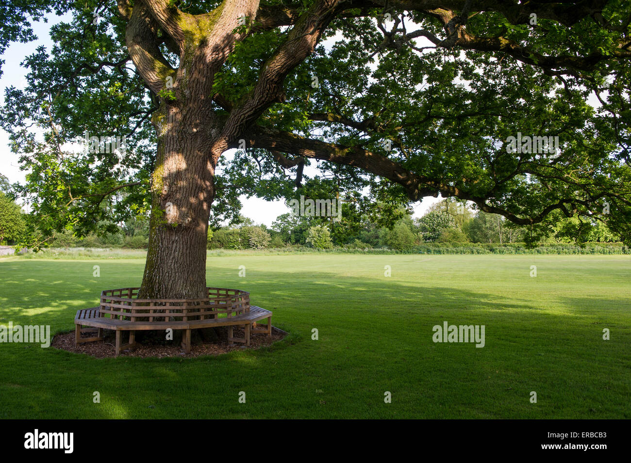Circular tree bench hi-res stock photography and images - Alamy
