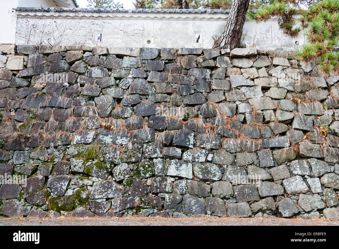 Fukuyama castle, honmaru dobei, plaster and wood wall, with arrow and gun ports on top of high nunozumi style, uchikomihagi type ishigaki stone wall. Stock Photo