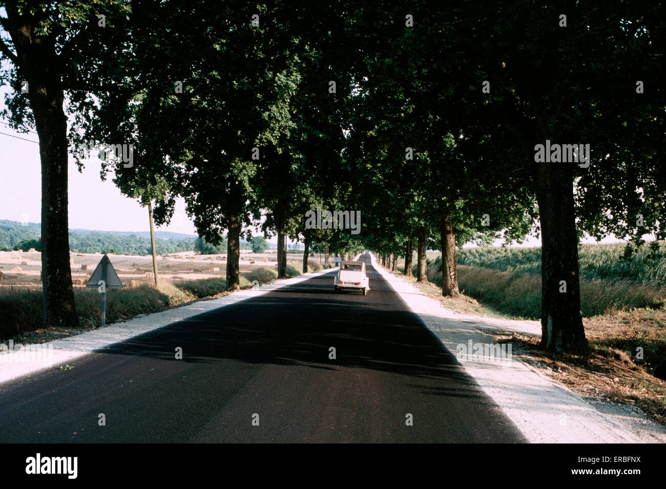 AJAXNETPHOTO - VARENNES EN ARGONNE, FRANCE - FRENCH CARS - CITROEN 2 CV ON THE LONG TREE LINED ROUTE DE VARENNES (D946) TO NEUVILLY EN ARGONNES. PHOTO:JONATHAN EASTLAND/AJAX. REF:LEIM 960303 21 Stock Photo