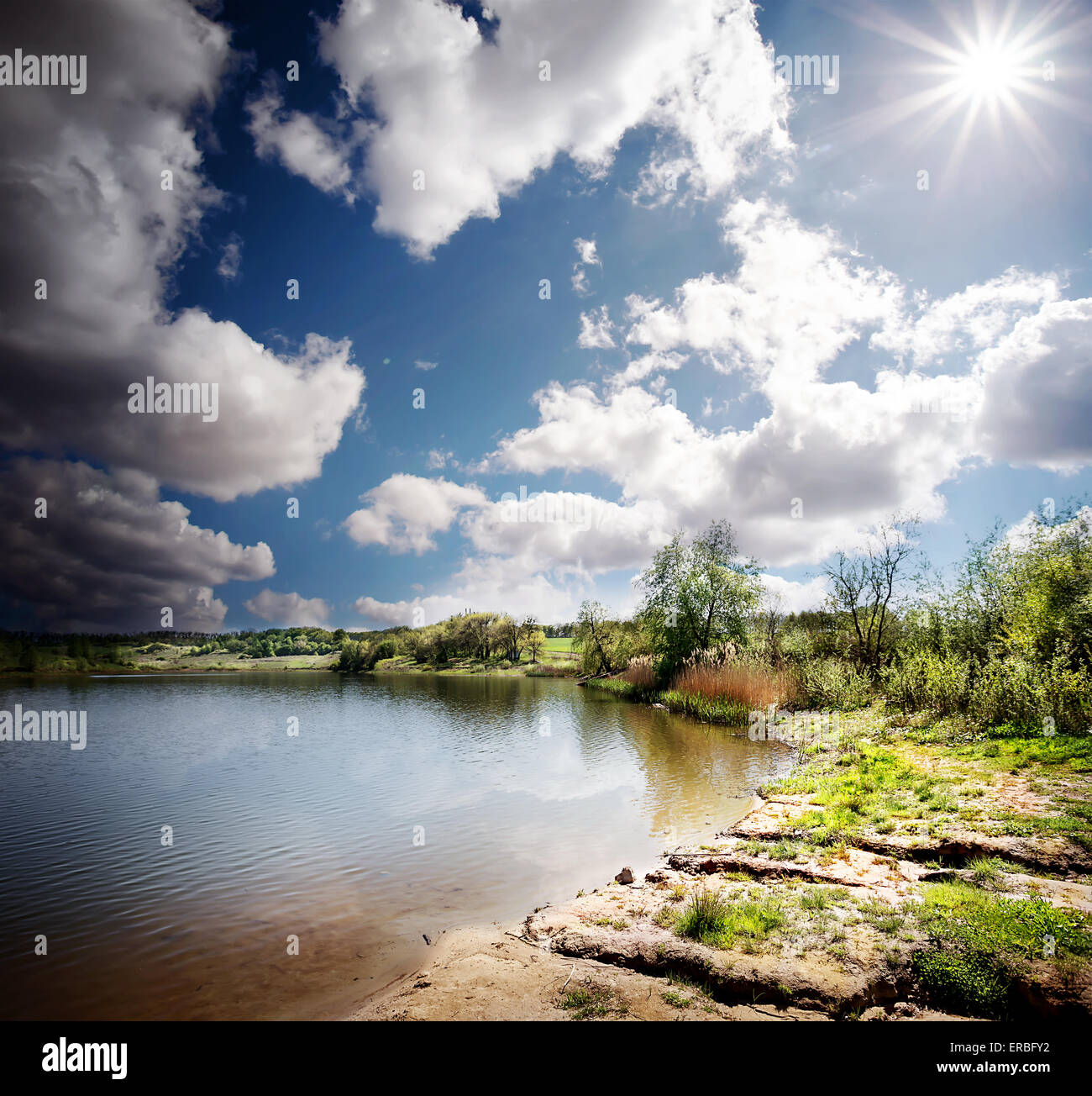 Shore of the lake with trees under cloudy sky Stock Photo - Alamy