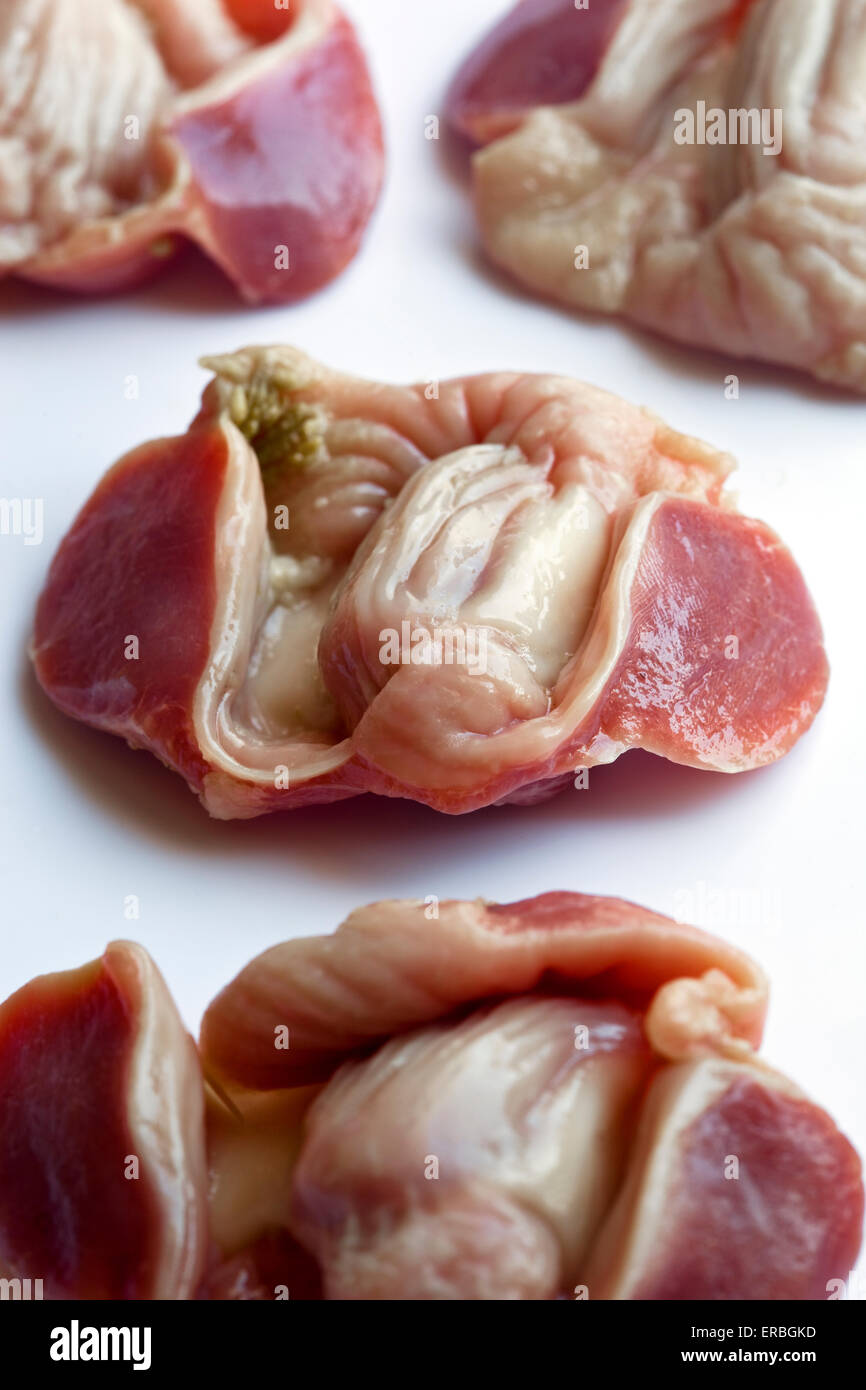 Raw Chicken Gizzards - Close up Detail Stock Photo