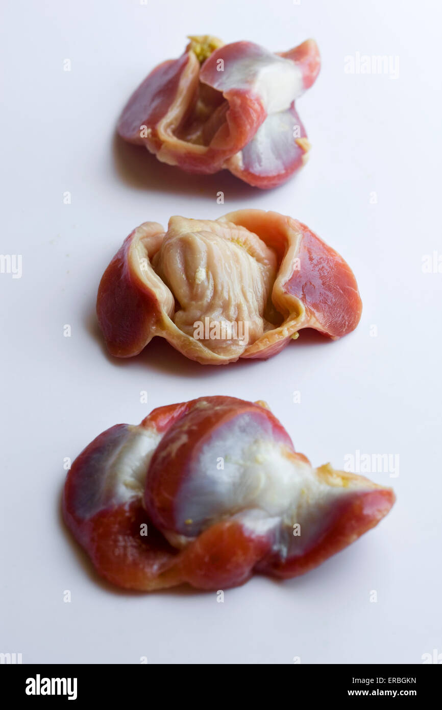 Raw Chicken Gizzards Close up Detail Stock Photo Alamy