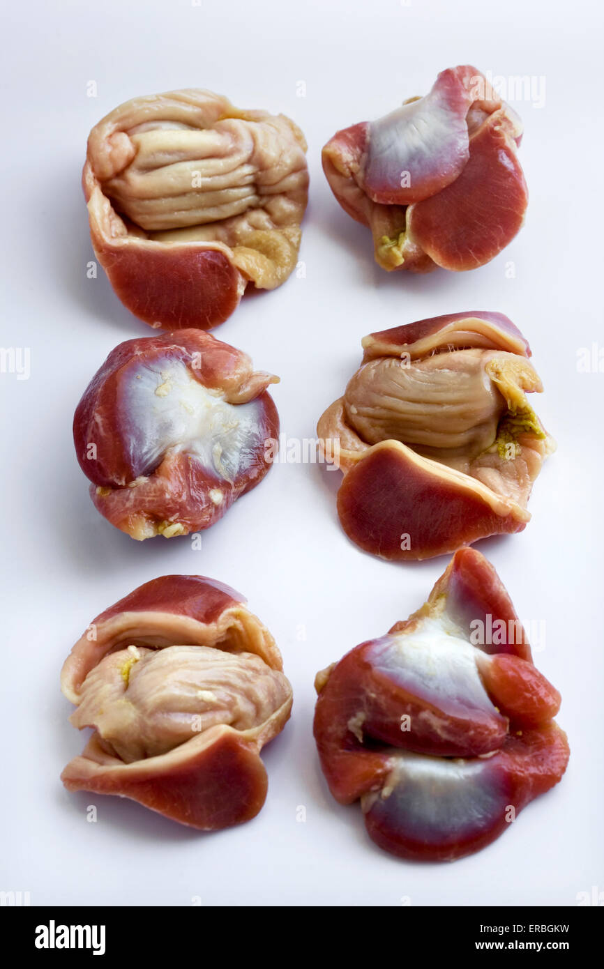 Raw Chicken Gizzards Close Up Detail Stock Photo Alamy,Second Year Anniversary Gift Cotton