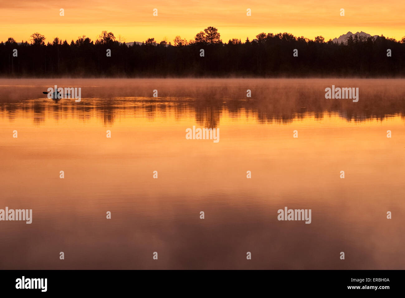 Sunrise in fog Lake Cassidy with fisherman in small kayak fishing Stock