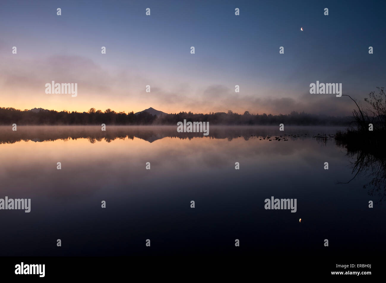 Lake Cassidy with Moon rising with early mist Washington state Stock