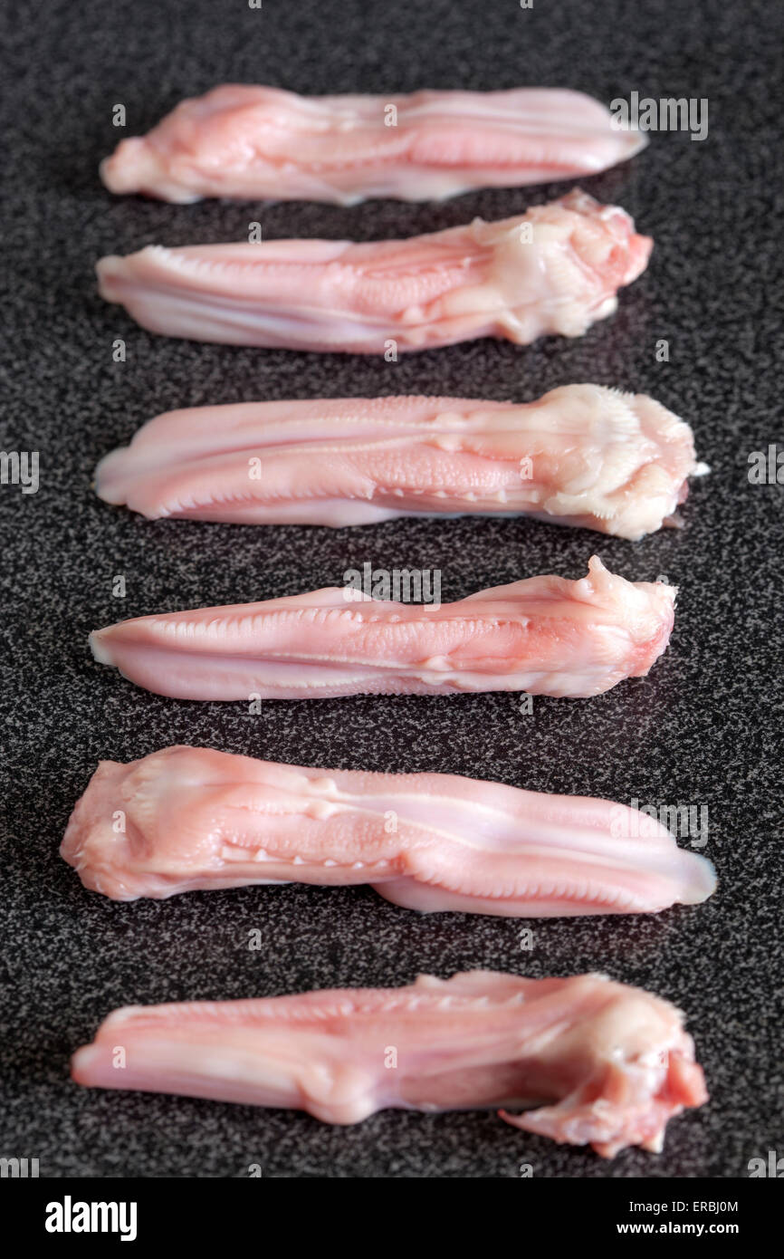 Ducks tongues hires stock photography and images Alamy