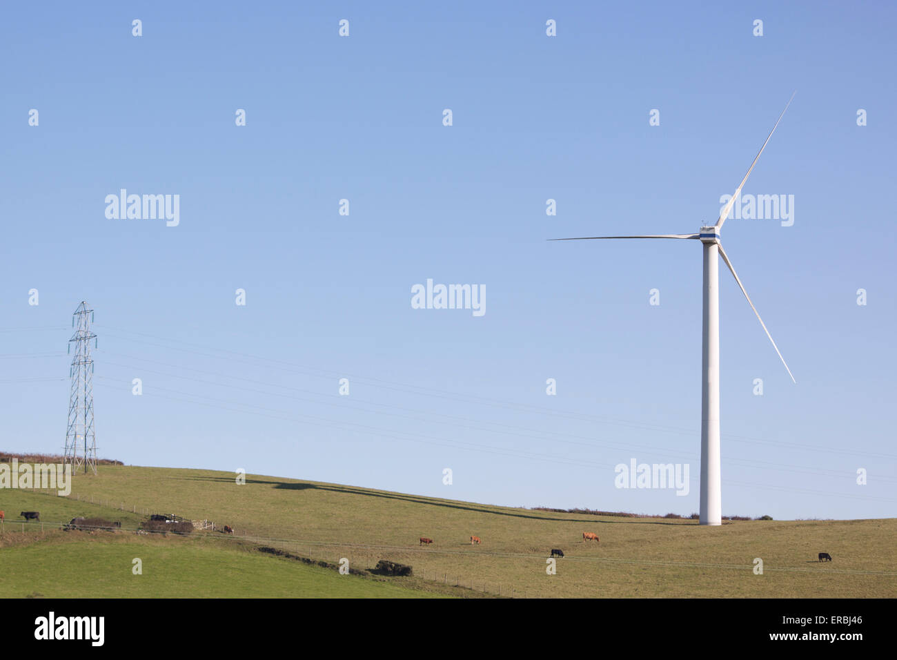 An electricity pylon and a wind turbine in the field Stock Photo