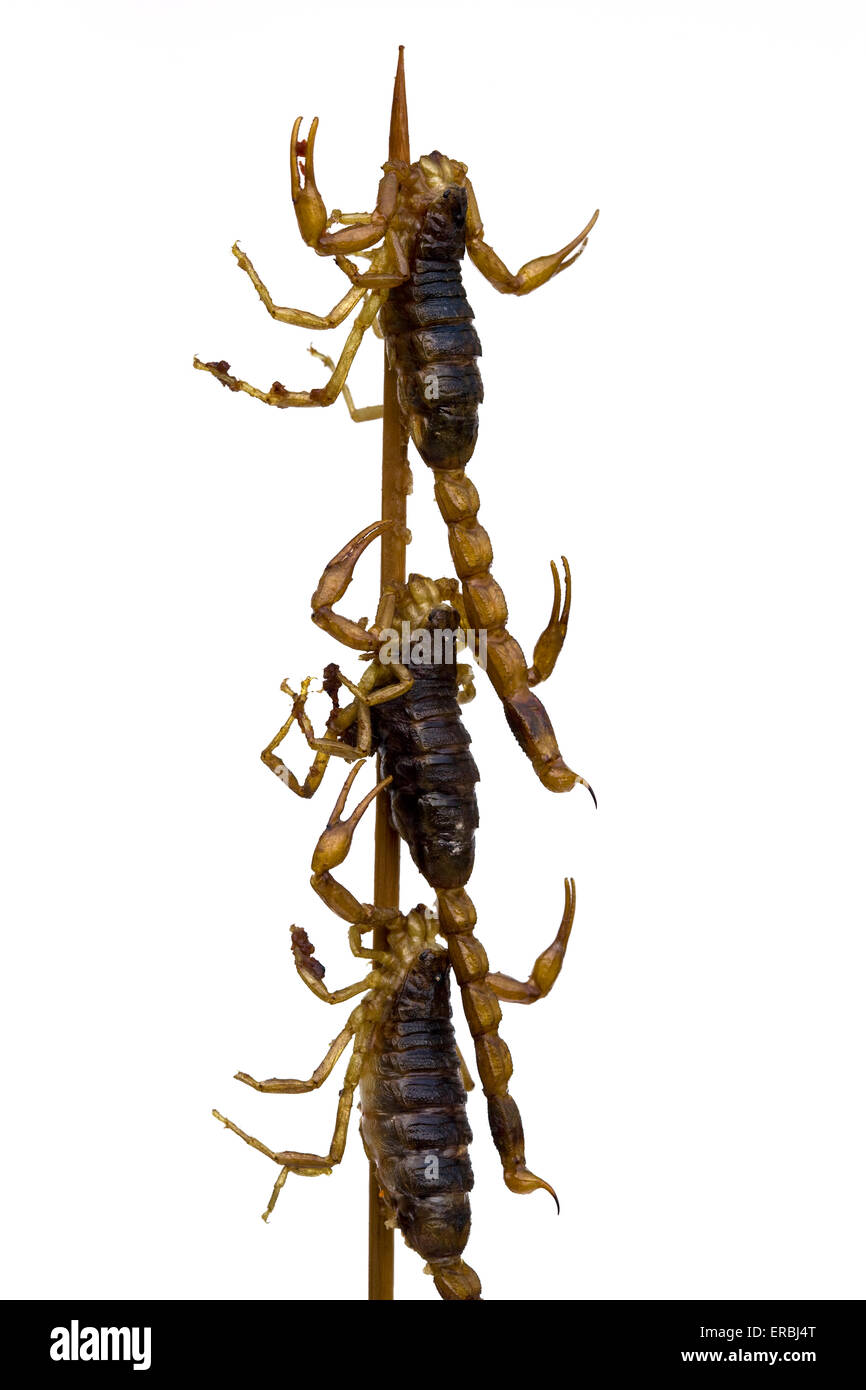 Fried Scorpion On A Stick