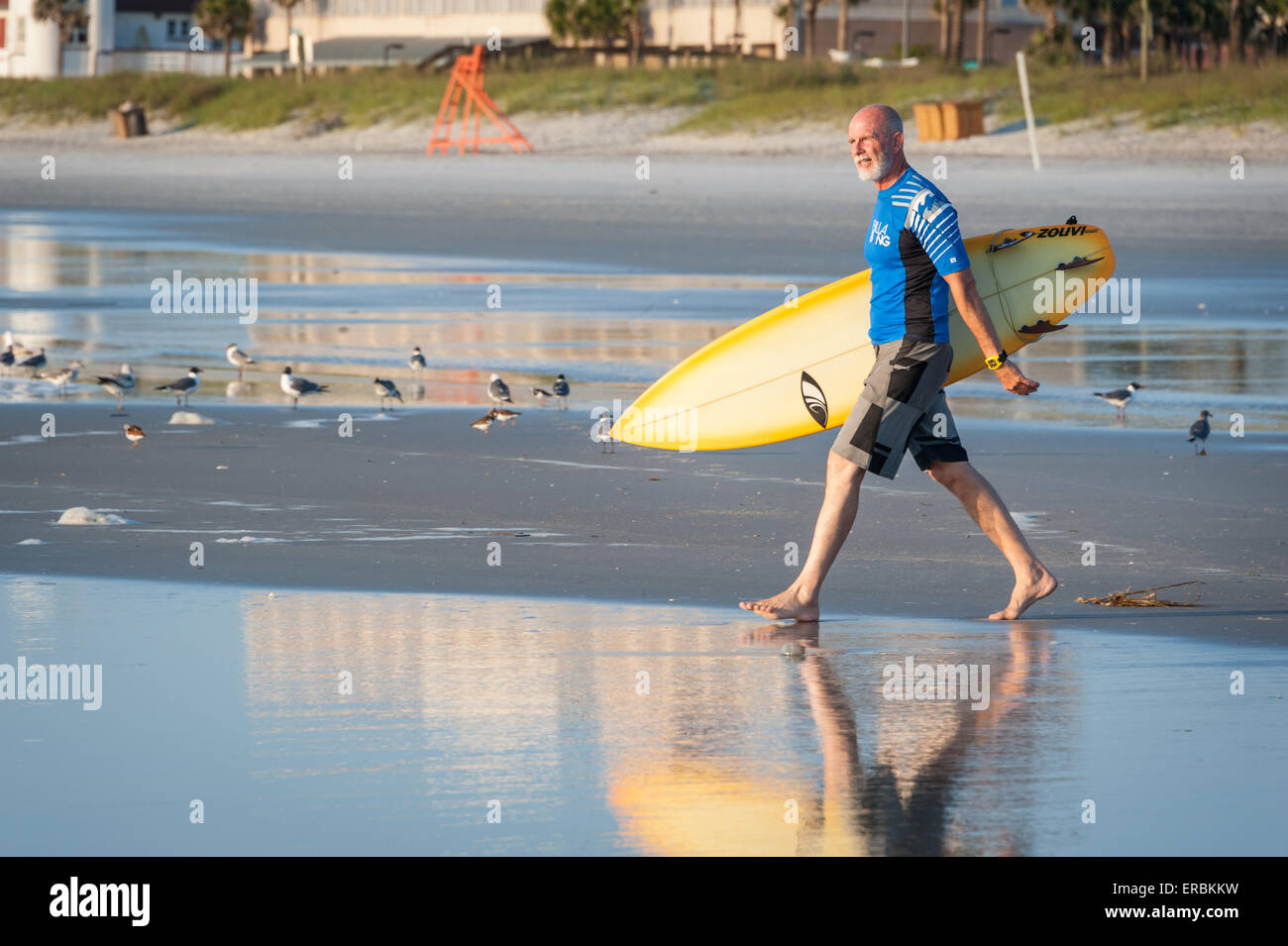 Senior surfer heads out for an early morning surf session at Jacksonville Beach, Florida. USA. Stock Photo