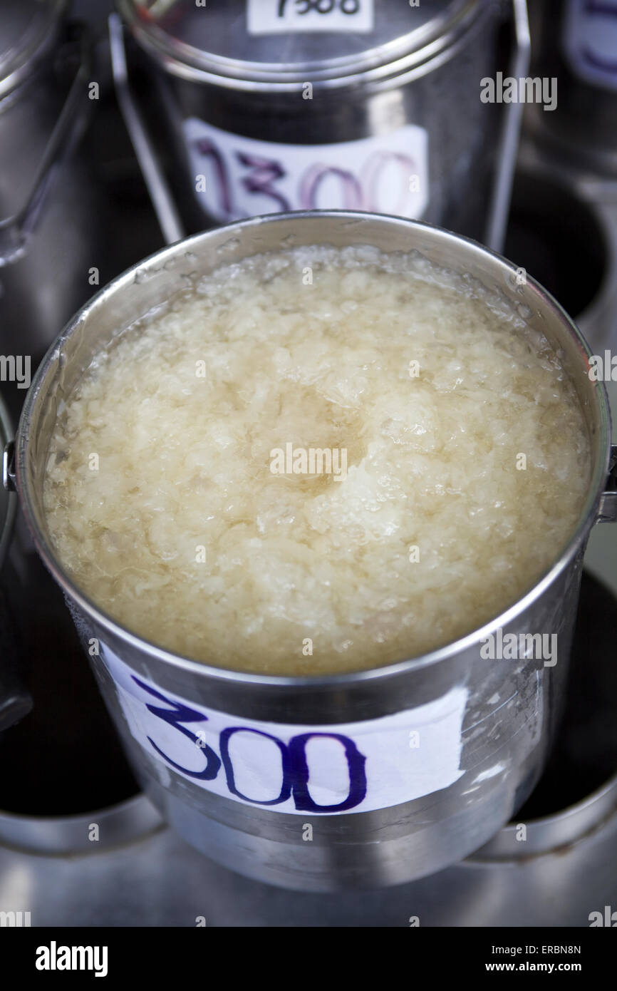 Birds Nest Soup on sale in Chinatown Bangkok Thailand Stock Photo Alamy