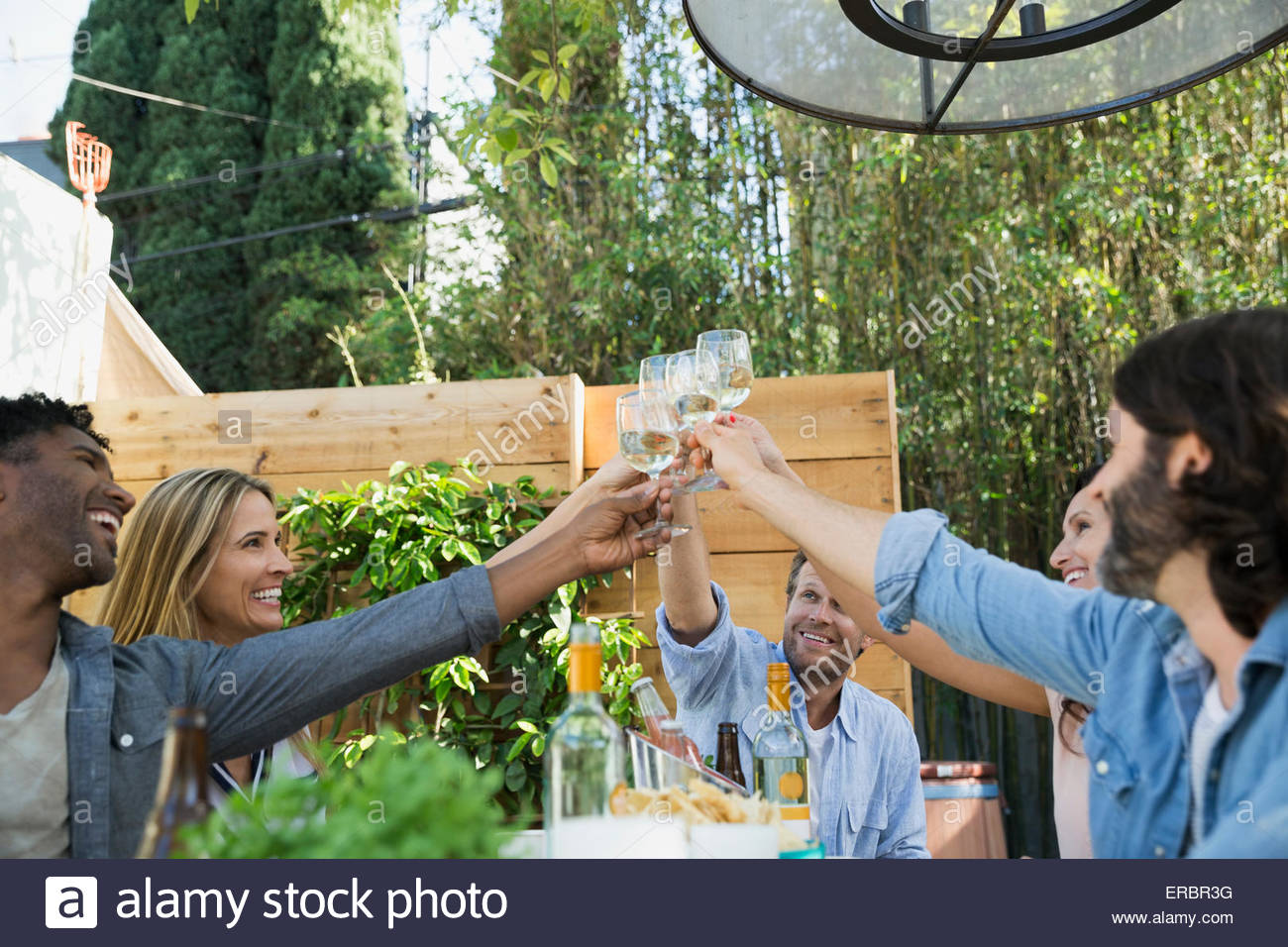 Friends toasting lunch hires stock photography and images Alamy
