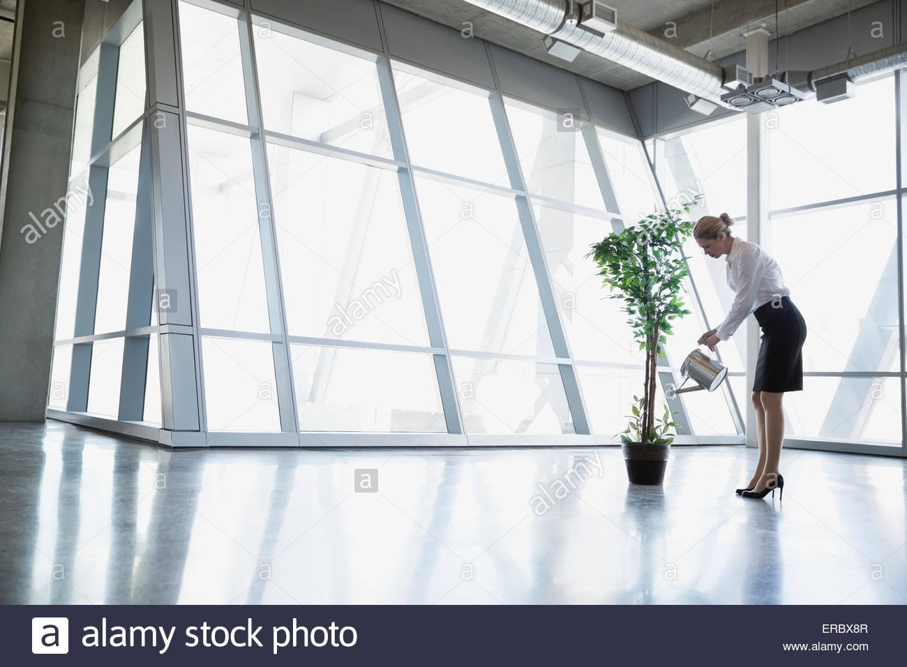 Businesswoman watering potted tree in modern office Stock Photo