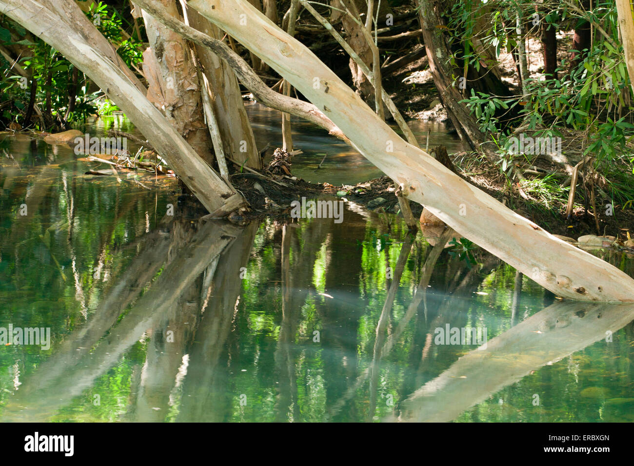 Five Mile Swimming Hole is a popular swimming spot just outside of