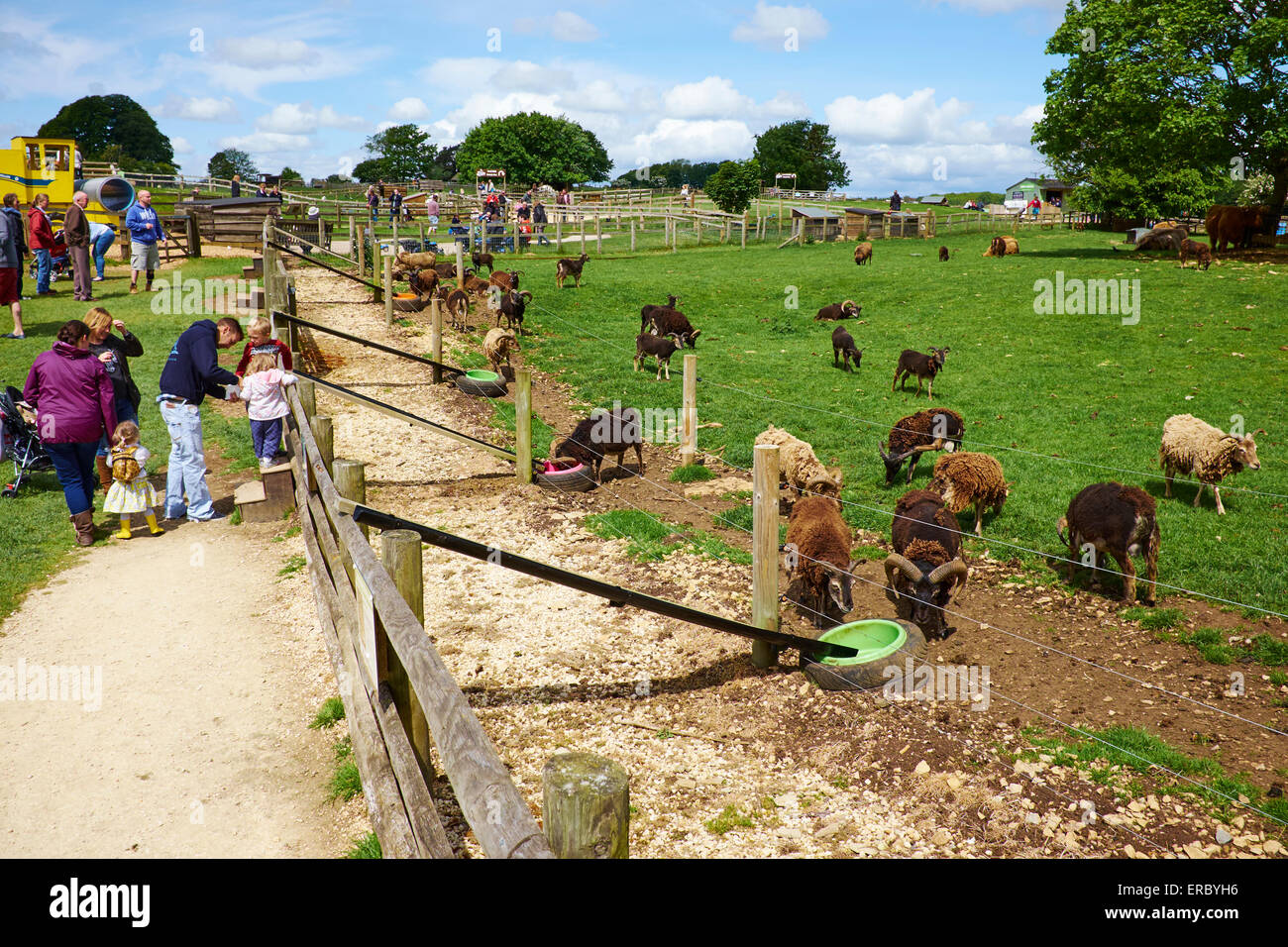 Families Feeding Animals At The Cotswold Farm Park Bemborough Farm