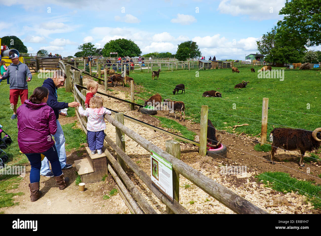 Cotswold Farm Park Stock Photos & Cotswold Farm Park Stock Images Alamy
