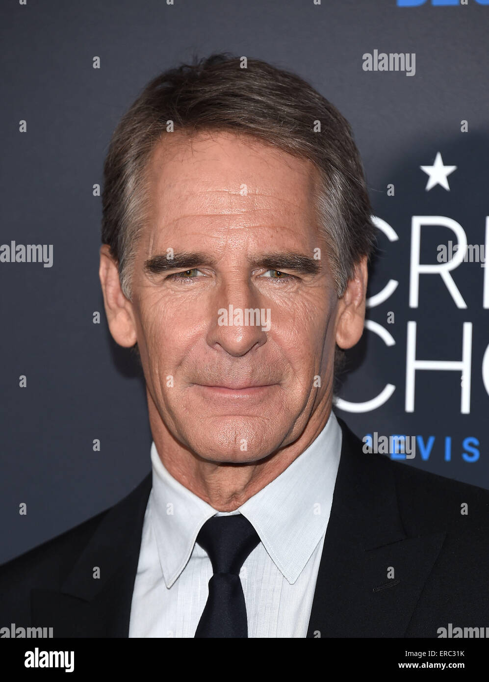 bill bakula - Ilustrasi 2