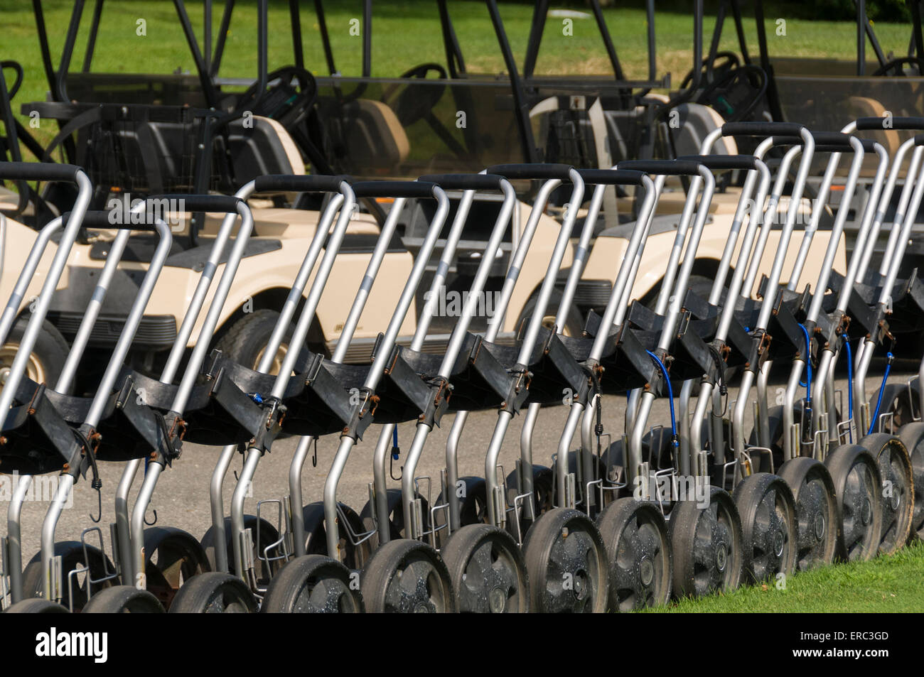 Line golf buggies hi-res stock photography and images - Alamy