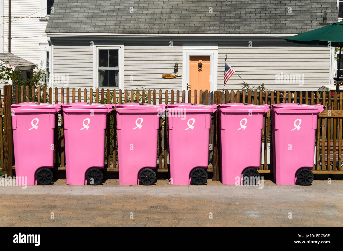 Pink recycling wheelie bins lined up in Provincetown, Massachusetts