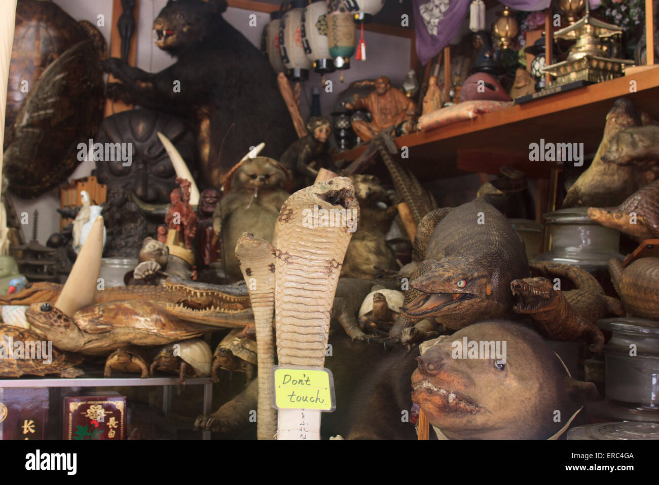 A store in Narita, Japan sells various stuffed animals ranging from
