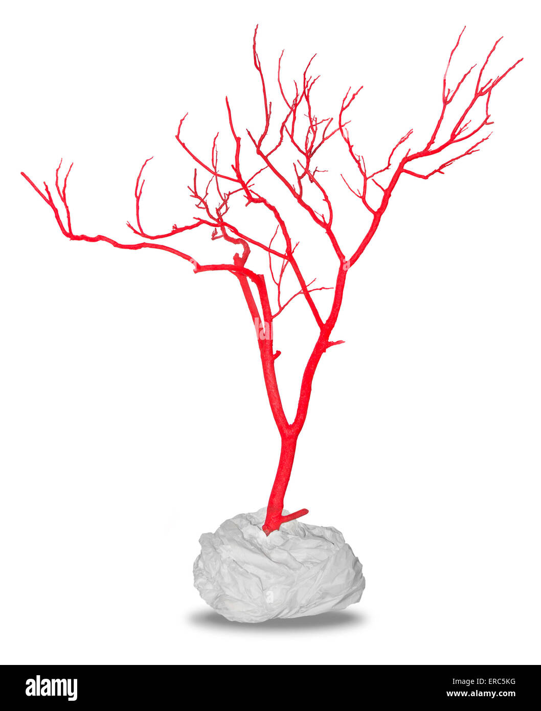 Dead tree, painted in red, serve as decoration, isolated on white