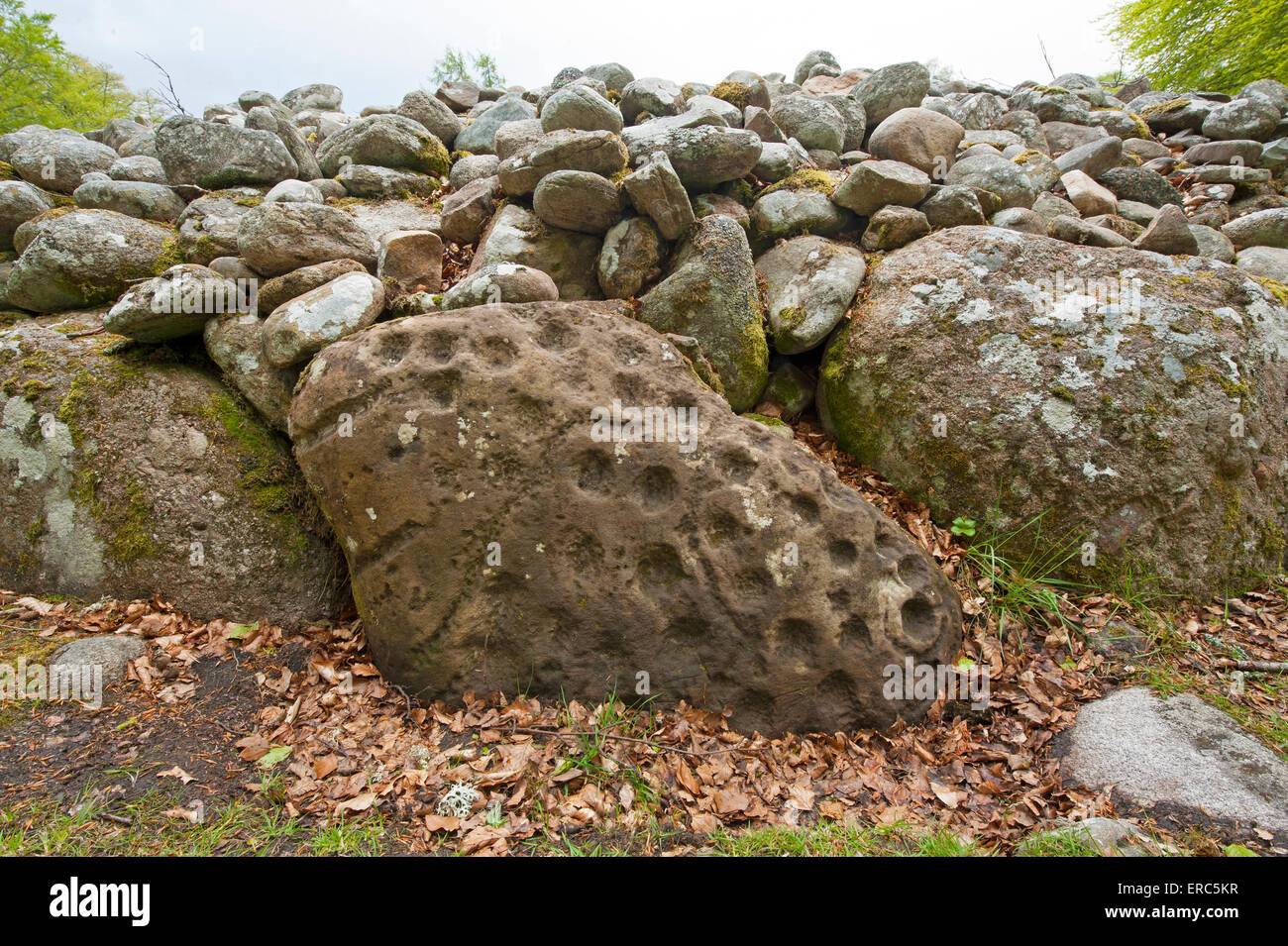 Ring and Cup marked stone at the prehistoric Balnuaran Clava Cairns near Inverness. SCO 9823. Stock Photo